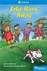 Hsp, Harcourt School Publishers - STORYTOWN STORYTOWN TEACHER/E