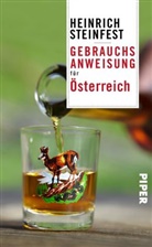 Heinrich Steinfest - Gebrauchsanweisung für Österreich