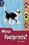 Rigby - Rigby Lighthouse: Leveled Reader 6pk (Levels E-I) Whose Footprints? [With Teacher's Guide]