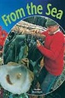 Nelson, Rigby - Rigby Focus Fluent 1: Leveled Reader from the Sea