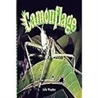 Rigby, Rigby - Rigby Focus Early: Leveled Reader Bookroom Package Nonfiction (Levels F-I) Camouflage