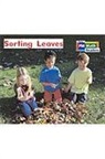Various, Rigby - Rigby PM Math Readers: Individual Student Edition Red Sorting Leaves