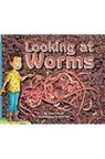 Jakab, VARIOUS, Rigby - Rigby Flying Colors: Individual Student Edition Red Looking at Worms