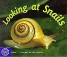 Giulieri, VARIOUS, Rigby - Rigby Flying Colors: Individual Student Edition Red Looking at Snails