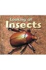 Jakab, VARIOUS, Rigby - Rigby Flying Colors: Individual Student Edition Red Looking at Insects