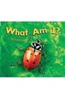 Giulieri, VARIOUS, Rigby - Rigby Flying Colors: Individual Student Edition Red What Am I?