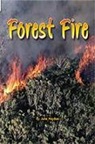 Haydon, Various, Rigby - Rigby Flying Colors: Individual Student Edition Green Forest Fire