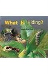 Cheryl Jakab, Luke Jurevicius - WHAT IS HIDING 7PK