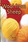 Haydon, Various, Rigby - Rigby Flying Colors: Leveled Reader Bookroom Package Turquoise Wool from Sheep
