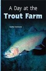 Hammonds, VARIOUS, Rigby - Rigby Flying Colors: Individual Student Edition Turquoise a Day at the Trout Farm