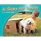 Smith, Various, Rigby - Rigby PM Photo Stories: Individual Student Edition Red (Levels 3-5) a Game for Scruffy