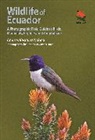 Andres Vasquez Noboa, Andres Vasquez Noboa, Andrés Vásquez Noboa, Pablo Cervantes Daza, Cervantes Daza Pablo - Wildlife of Ecuador
