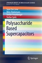 Stefan Freunberger, Stefan Spirk, Wi Thielemans, Wim Thielemans, Wim Thilemans, Soo Yee Liew... - Polysaccharide Based Supercapacitors