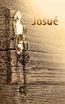 Cor Bruins - Josué