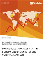 Sebastian Weis - Das Schuldenmanagement in Europa und die Entstehung von Finanzkrisen