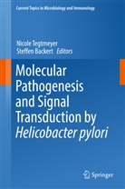 Backert, Backert, Steffen Backert, Nicol Tegtmeyer, Nicole Tegtmeyer - Molecular Pathogenesis and Signal Transduction by Helicobacter pylori