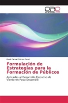 René Gabriel Gómez Coral - Formulación de Estrategias para la Formación de Públicos