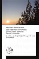 Arnaud Frédéric Mèdédodé Houédjissin - Les victimes devant les juridictions pénales internationales