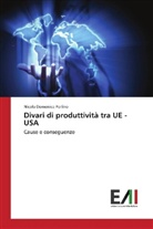 Nicola Domenico Perlino - Divari di produttività tra UE - USA