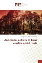 Jean Emmanuel Mbosso Teinkela - Anticancer activity of Ficus elastica aerial roots