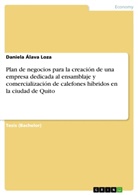 Daniela Álava Loza - Plan de negocios para la creación de una empresa dedicada al ensamblaje y comercialización de calefones híbridos en la ciudad de Quito