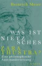 Heinrich Meier - Was ist Nietzsches Zarathustra?