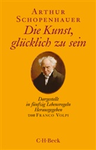 Arthur Schopenhauer, Franc Volpi, Franco Volpi - Die Kunst, glücklich zu sein