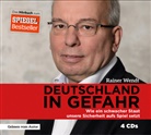 Rainer Wendt - Deutschland in Gefahr (Hörbuch)