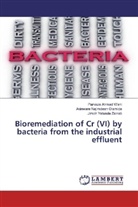 Akinware Najimdee Olamide, Akinware Najimdeen Olamide, Parvaze Ahma Wani, Parvaze Ahmad Wani, Za, Jimoh Yetunde Zainab - Bioremediation of Cr (VI) by bacteria from the industrial effluent