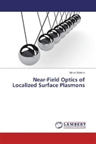 Marco Salerno - Near-Field Optics of Localized Surface Plasmons