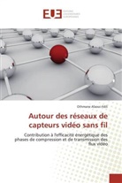 Othmane Alaoui-Fdili - Autour des réseaux de capteurs vidéo sans fil