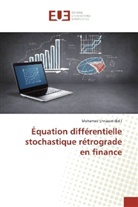 Mohame Ennassiri, Mohamed Ennassiri - Équation différentielle stochastique rétrograde en finance
