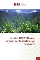 Estella Técher - Le label UNESCO, quel impact sur la destination Réunion ?