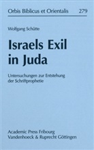 Wolfgang SchÃ¼tte, Wolfgang Schütte, Bernd U. Schipper - Israels Exil in Juda