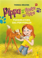 Thomas Brezina, Petra Herberger - Pippa und die Bunten Pfoten - Puddingstern, das Ponyfohlen