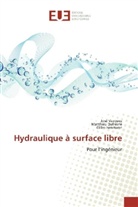 Matthie Dufresne, Matthieu Dufresne, Gilles Isenmann, Jos VAZQUEZ, José VAZQUEZ - Hydraulique à surface libre