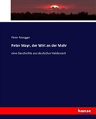 Peter Rosegger - Peter Mayr, der Wirt an der Mahr