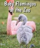 Cecelia H. Brannon - Baby Flamingos at the Zoo