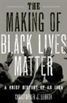Lebron, Christopher J. Lebron, Christopher J. (Assistant Professor Lebron - Making of Black Lives Matter