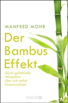 Manfred Mohr - Der Bambus-Effekt