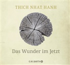 Thich Nhat Hanh, Thich Nhat Hanh - Das Wunder im Jetzt