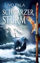 Ivo Pala - Schwarzer Sturm
