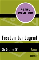 Petru Dumitriu - Die Bojaren (2)
