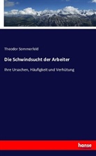 Theodor Sommerfeld - Die Schwindsucht der Arbeiter