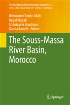 Damià Barceló, Lhoussaine Bouchaou, Lhoussaine Bouchaou et al, Redouane Choukr Allah, Redouane Choukr-Allah, Raga Ragab... - The Handbook of Environmental Chemistry - 53: The Souss-Massa River Basin, Morocco