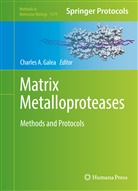 Charle A Galea, Charles A Galea, Charles A. Galea - Matrix Metalloproteases