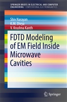 K Divya, K M Divya, K. M. Divya, V Krushna Kanth, V. Krushna Kanth, V Krushna Kanth... - FDTD Modeling of EM Field inside Microwave Cavities