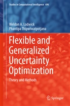 Weldon Lodwick, Weldon A. Lodwick, Weldon Alexander Lodwick, Phantipa Thipwiwatpotjana - Flexible and Generalized Uncertainty Optimization