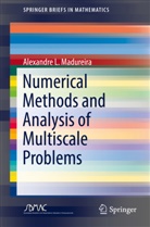 Alexandre L Madureira, Alexandre L. Madureira - Numerical Methods and Analysis of Multiscale Problems