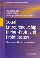 Dominique Bonet-Fernandez, Marta Peris-Ortiz, Frédèri Teulon, Frédèric Teulon - Social Entrepreneurship in Non-Profit and Profit Sectors